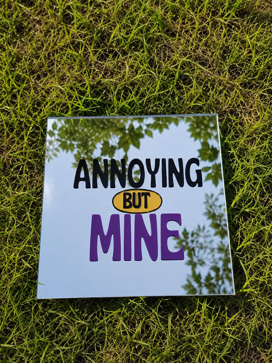 Annoying But Mine