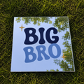 Big Bro